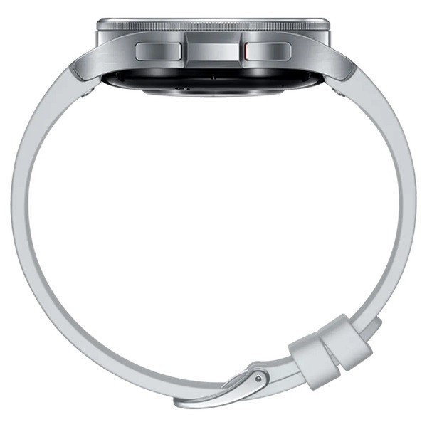 Samsung Galaxy Watch 6 R950 Classic 43mm BT plata